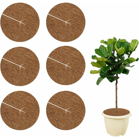 MINKUROW 6 Stück Kokos-Mulchscheibe 20 cm, Kokosmatte, Winterschutz Kokos-Mulchscheibe für Topfpflanzen (1/5)