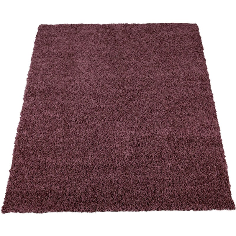 Paco Home Tappeto Salotto Moderno Pelliccia Morbido Pelo Lungo Shaggy  Lavabile Div. Colori 60x90 cm, Viola