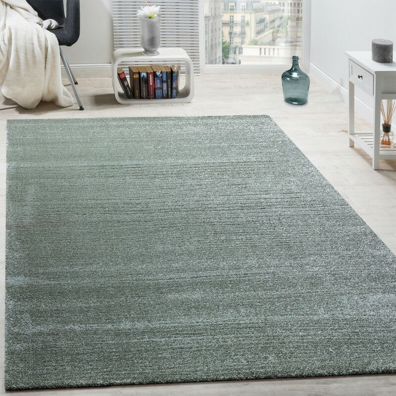 Paco Home Tappeto Di Design Tappeti Frieze Lussuoso Brillante Effetto  Lucido Verde Menta Pastello 80x150 cm