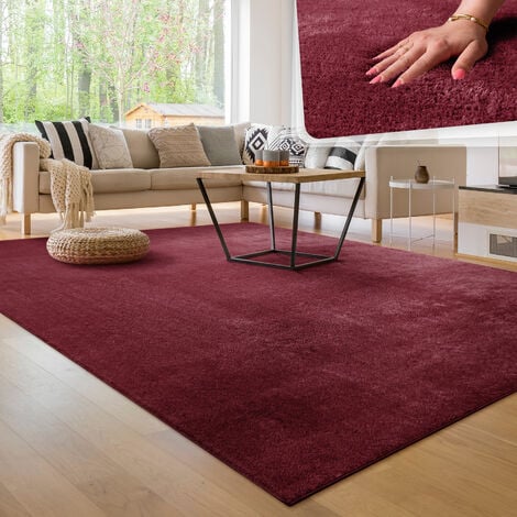 Paco Home Tappeto per soggiorno Unicolore Lavabile Morbido pelo corto  morbido 120x170 cm, Rosso