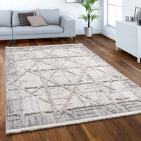 Paco Home Tappeto Salotto Moderno Soggiorno Pelo Corto Boho Astratto  Scandinavo Frange 200x290 cm, Crema 4