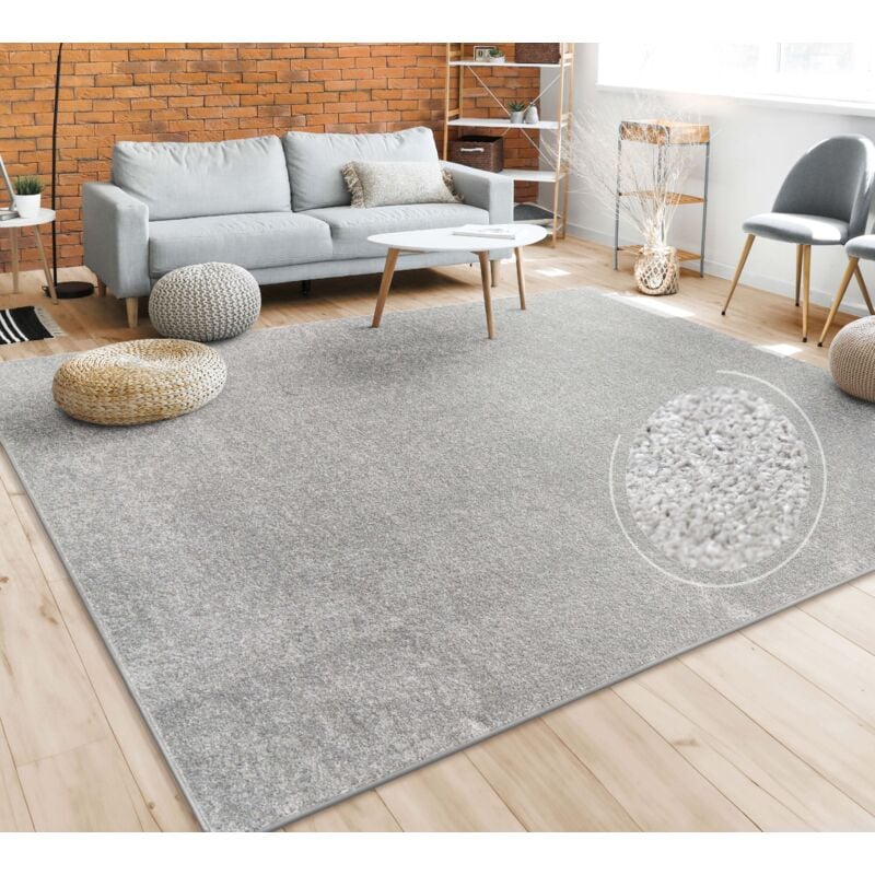 Paco Home Alfombra Salón Pelo Corto Lavable Monocolor Moderna Suave Beige  Crema 160x220 cm