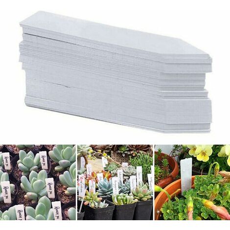 Étiquette plastique étanche pour plantes de jardin, étiquette