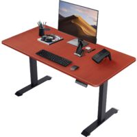 Height Adjustable Electric Standing Desk Office Computer Desk Stand Up Desk For Home Office with Memory Smart Pannel,110 cm,Deep Brown