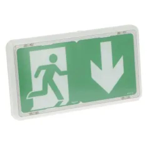 Legrand – Éclairage de sécurité Baes Evac IP43 – Protection contre l'humidité et la poussière – Pour environnements de travail – Installation facile