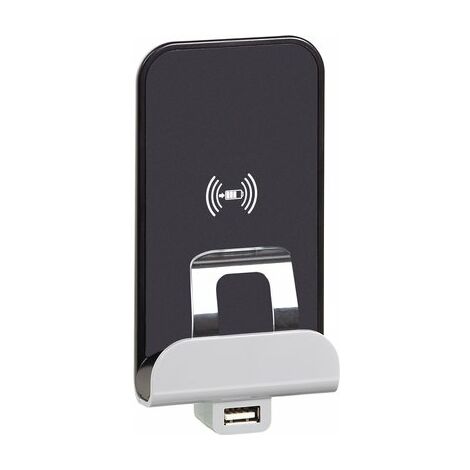 Prise + double chargeur USB Céliane graphite - Plaque Tungstène