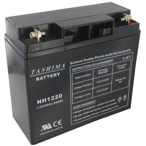 Batería de gel/agm 100 % sellada para cortadoras de césped de 12 V y 20 A TASHIMA
