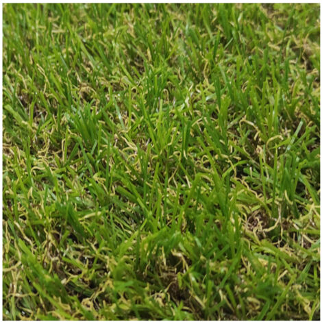 Gazon Synthétique 2X4M 18MM Lisse Duveteux Jardin Extérieur Type Quatre-tons