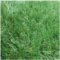 Gazon Synthétique 1X5M 20MM Lisse Duveteux Jardin Extérieur Type Quatre-tons