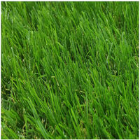 Comercial Candela – Gazon synthétique 2x6m 40mm – Toucher doux et luxuriant – Résistant aux UV et intempéries – Système de drainage intégré