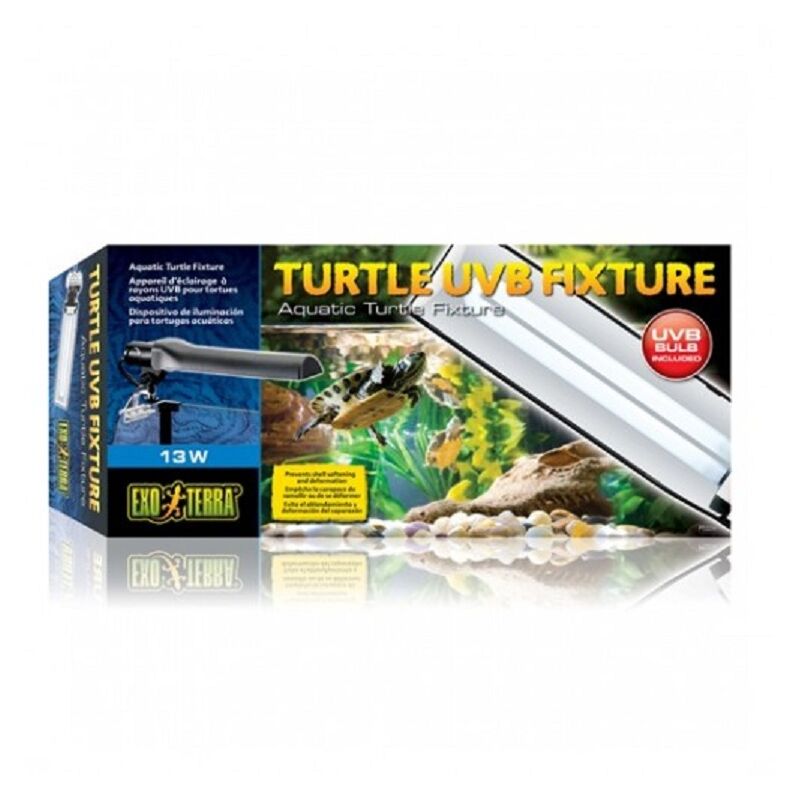 Exo Terra Terrariumpflanzen-Set - Star Kaktus & Turtle Grass, Realistisch, Für Reptilien-Terrarien