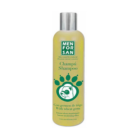 Menforsan 300ml Deodorant ChampÐ