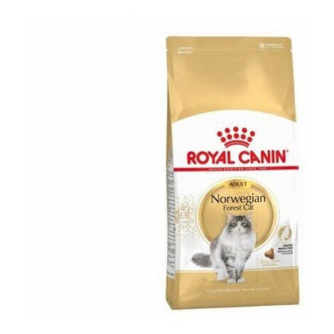 Royal canin norwegian hotsell forest cat 10 kg