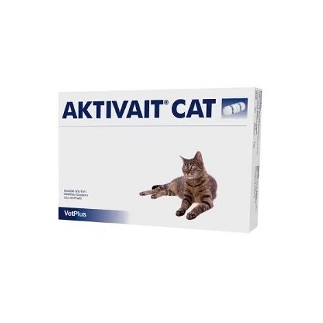 Aktivait ergnzt sich gegen die kognitive Degeneration bei Katzen. 60 Tassen