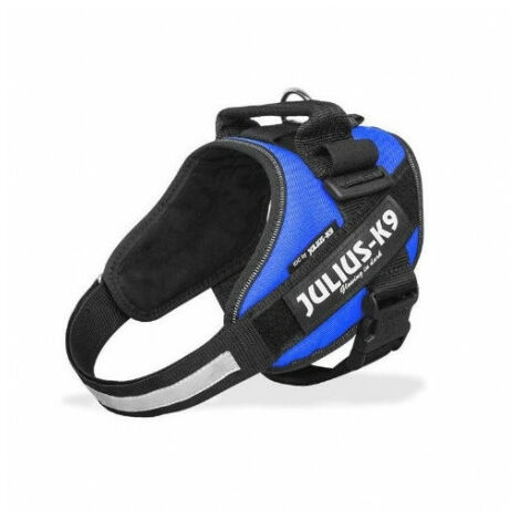 Julius Arn s fÐ©r blaue IDC -Hunde