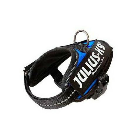 Julius Arns IDC Baby 1 Blue Hund