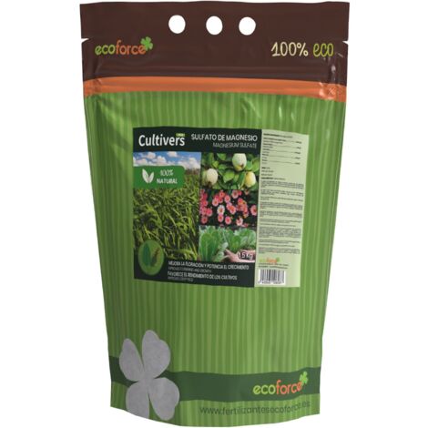 Pietra di allume grezzo 1 kg - Minéraux bruts, Minéraux - Bijoux