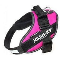 Julius Arns IDC Dog 0 Fuchsia