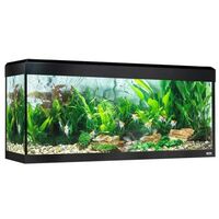 Fluval rome led bluetooth 240l, schwarz