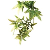 Exo Terra PlÕstica Planta Croton S.