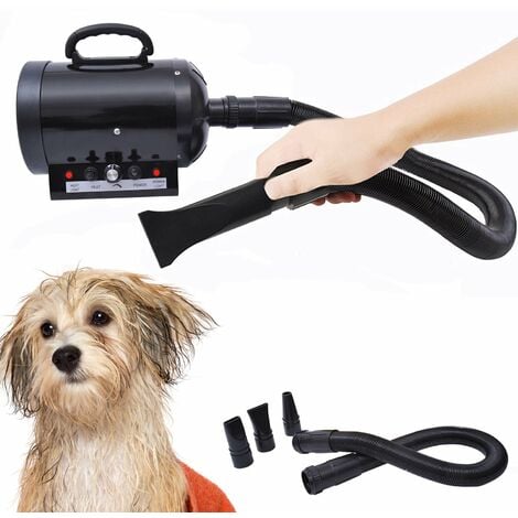 Secador de pelo para perros de alta velocidad, secador de pelo para perros,  secador de pelo para perros, soplador de mascotas con calentador