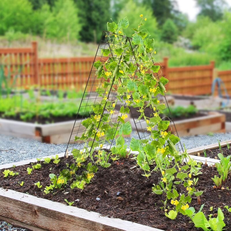 Ficelle De Jardin Extensible 30m - Attaches Douces Vertes Pour Plantes Grimpantes, Tomates Et Rosiers