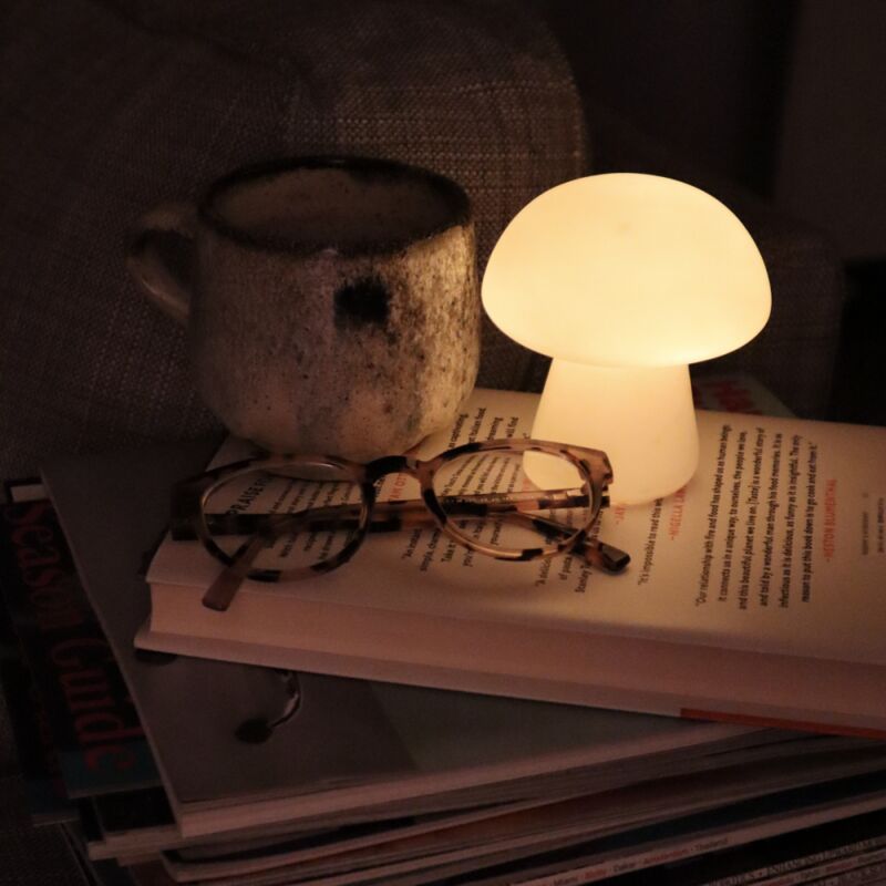 Kikkerland - Lampe de lecture rechargeable