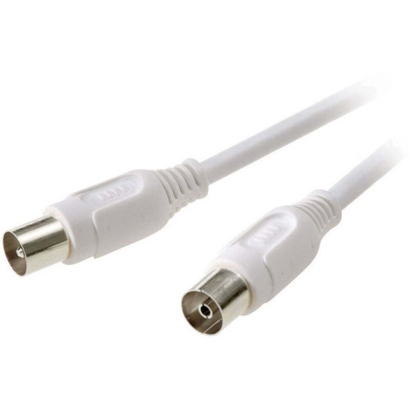 Cavo Video RCA-M Su Entrambe Le Estremit&agrave; Di 5 M | Leroy Merlin