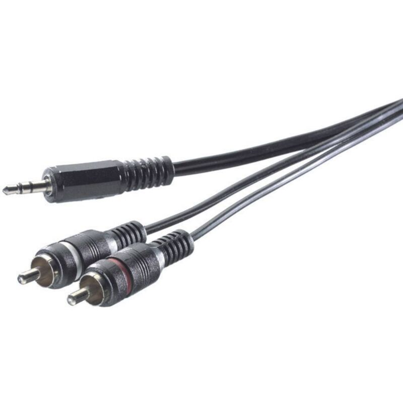 SpeaKa Professional SP-7869916 RCA / Jack Audio Cavo [2x Spina RCA - 1x Spina jack da 3.5 mm] 5.00 m Nero