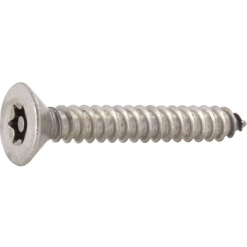 Viti Per Lamiera Acciaio Inox 316 - Testa Ovale Phillips (6 Pezzi) - Scegli La Misura - Foto 4