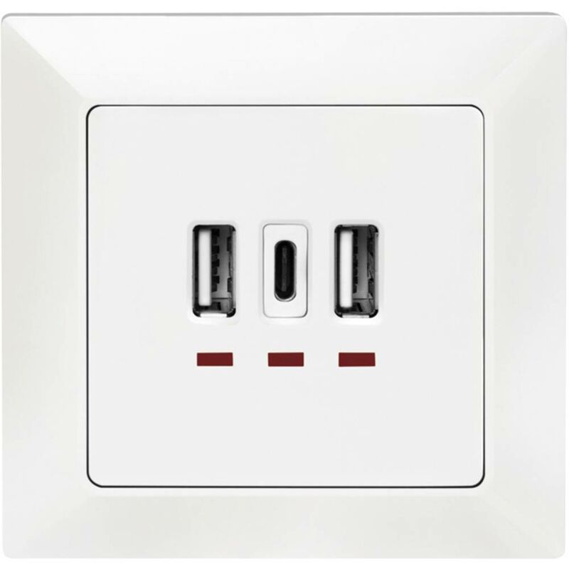 2 Pezzi Presa 2 Uscite USB Tipo A + USB Tipo C, da Muro 3.1A