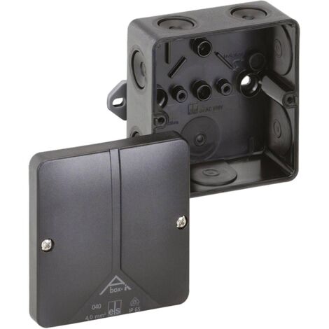 2 Baldacchini Da Soffitto Metallici Rotondi 100x20 Mm, Scatole Di Giunzione Per Lampade Fai Da Te, Colore Nero Opaco