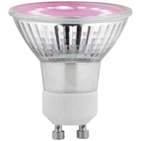 Paulmann Lampadina LED per crescita piante 230 V GU10 3.5 W Ambra 1 pz. (1/4)