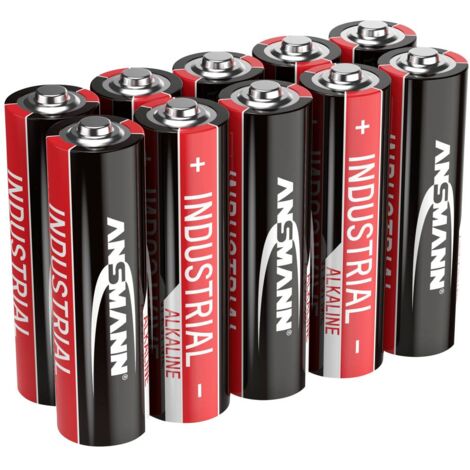 Ansmann Industrial Batteria Stilo (AA) Alcalina/manganese 1.5 V 10 pz. (1/5)