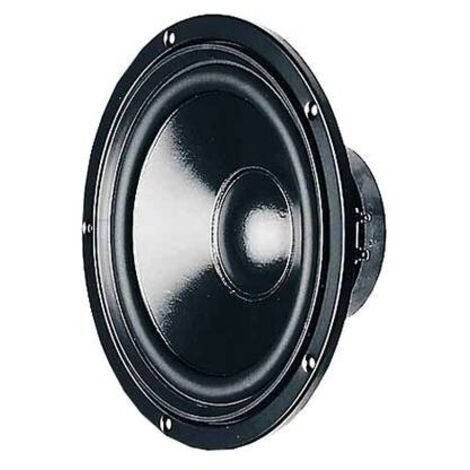 Visaton W 170 S - 4 Ohm 6.7 pollici 17 cm Toni bassi 30-2500Hz 50 W 4 Ω (1/2)