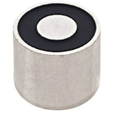 RED MAGNETICS Elettromagnete magnetico (stato in assenza di corrente) 45 N 12 V/DC 3.8 W ITS-PE2025-12VDC (1/2)