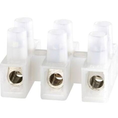 Pinze Backhaus Chirurgiche 10 Pezzi Morsetti Backhaus Per - Foto 9