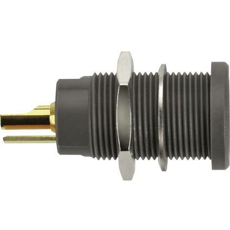 Schützinger DI KBU 7992 L Au / SW Presa da incasso Kelvin Nero 1 pz. (1/2)