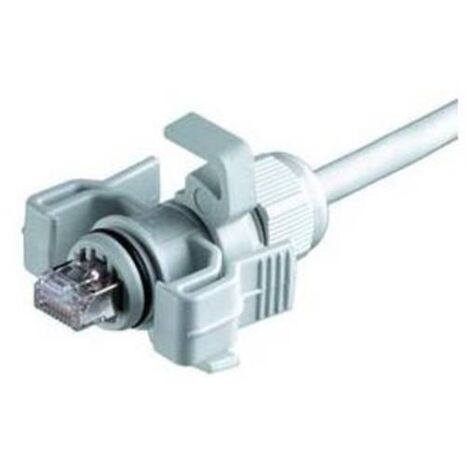 Telegärtner 100023013 Set di spine RJ45 variante 6 100023013 Spina dritta Poli: 8P8C Grigio luminescente 1 pz. (1/5)