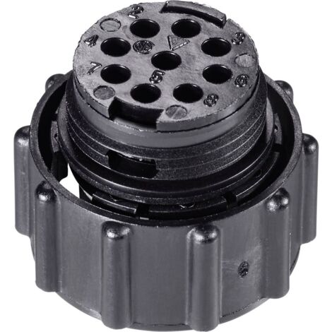 TE Connectivity 205839-3 Connettore circolare Spina dritta Tot poli: 28 Serie (connettore circolare): CPC 1 pz. (1/3)
