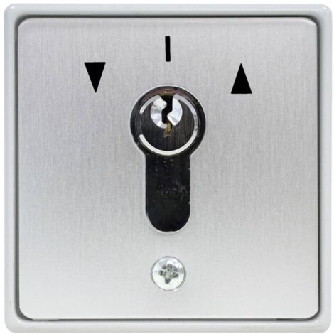 Kaiser Nienhaus 322200 Pulsante a chiave per apricancelli Da incasso (1/2)