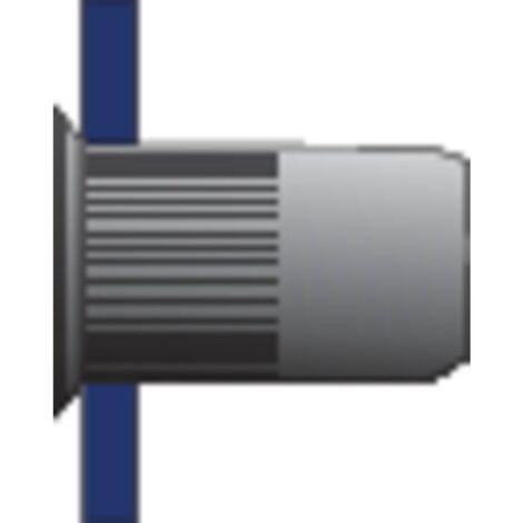 Bralo 371105007 Occhiello (Ø x L) 6.9 mm x 12 mm M5 Acciaio 500 pz.
