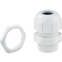 Spelsberg 22944001 Pressacavo filettato antiurto, con antistrappo, con controdado M40 Plastica Grigio luminescente 1 pz