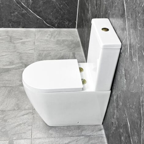 Tornado Flush Toilet with Brushed Brass Flush Button & Hinges Closed Back (1/4)