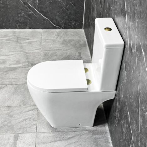 Tornado Flush Toilet with Brushed Brass Flush Button & Hinges Open Back Rimless