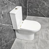 Toilet with Brushed Brass Flush Button & Hinges Molly Rimless + Soft Close Seat