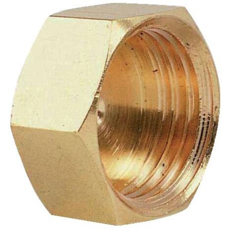 Riquier – Bouchon laiton femelle à visser 26x34 mm – Raccord hexagonal pour plomberie – Résistant à la corrosion – Applications en extérieur - 6pans