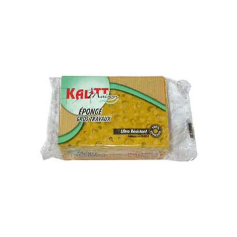 Eponge végétale gros travaux KALITT Maison