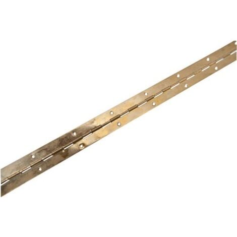 Mobila R00302 Cerniera A Metraggio, 600 X 32 Mm, Ottonato