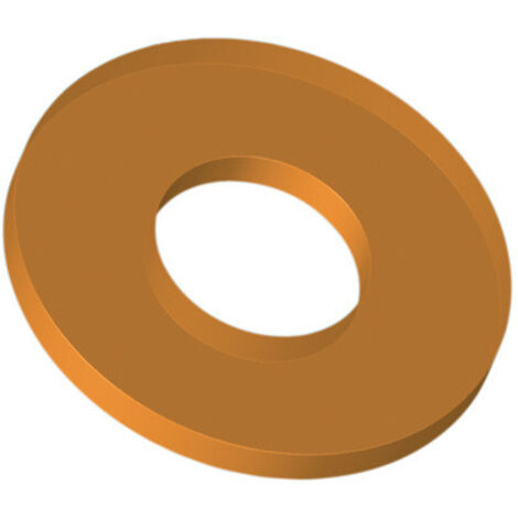 Watts - Joint de chasse para 70x40x5,5mm 10 pcs - 411411 (1/2)